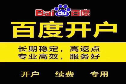 某某SEM服务公司：一则关于广告投放的精彩案例