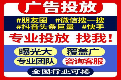 SEM竞价实战：成功案例解析